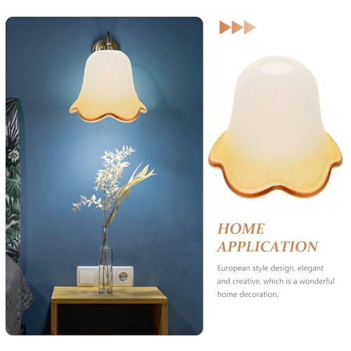 Cubierta Protectora Transparente para Lámpara con Estilo Europeo Elegante 3