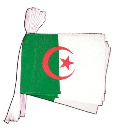 Guirlande drapeau Algerie de 5,9 m de long avec fanions pour fete et decoration