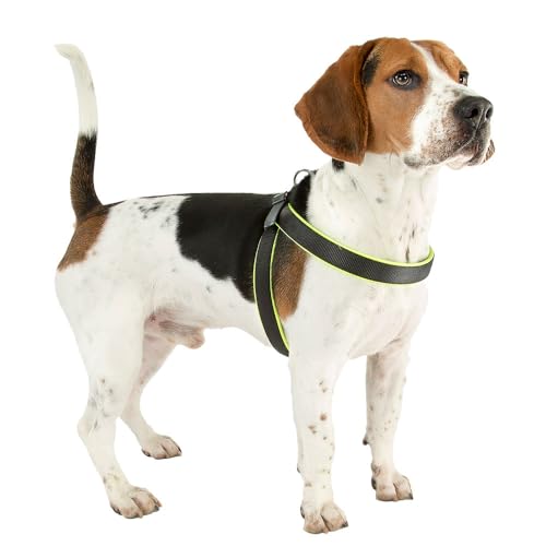 Ferplast Peitoral ergonômico para cães AGILA FLUO 3, Sistema de fechamento prático com cordão, Amare