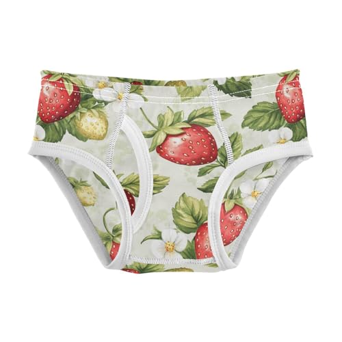 Wusikd Strawberries Boys' Underwear Cotton Watercolor Boys Briefs Soft Toddler Underwear 2T