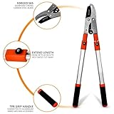 28"- 40" Extendable Tree Loppers for Gardening, Telescopic Garden loppers Long Reach, Anvil Lopper Tree Pruner, SK5 Razorsharp Blades Advance Heavy Duty Long Handled (Orange) - Image 4