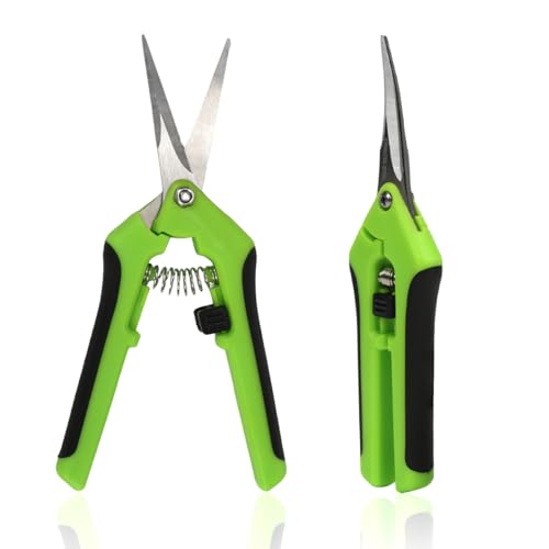 2 Pezzi Forbice potatura, Piccole Cesoie Giardinaggio, Forbici Bonsai, Cesoie per Raccolta di Frutta e Verdura, Forbice per Composizioni Floreali, Forbici da Giardino