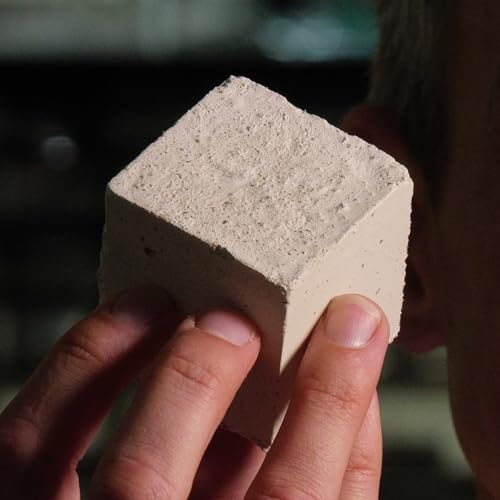 Beyond Concrete: Bio-Composites, Algae-Based Cement, and New Ideas for Carbon-Smart Architecture