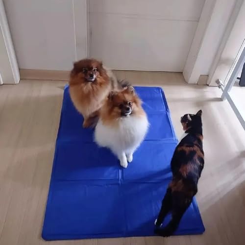Tapete Gelado Refrescante Para Cães e Gatos Gel Refrescante Ativado por Peso Conforto Térmico Para D