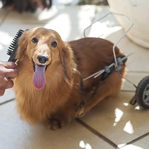 Escova Dupla M Germanhart