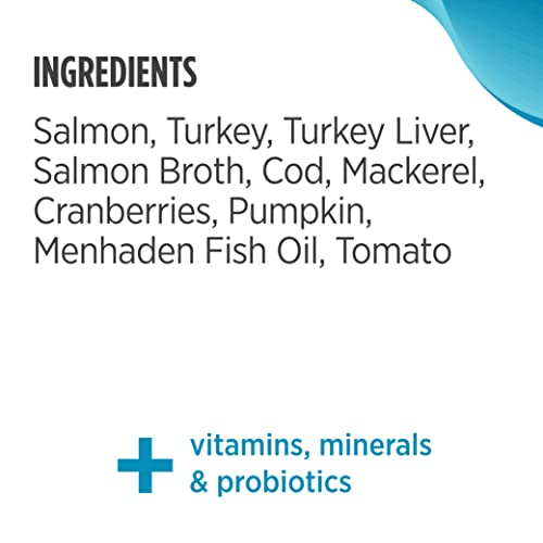 Nulo Freestyle Cat & Kitten Wet Pate Canned Cat Food, Premium All Natural Grain-Free, With 5 High Animal-Based Proteins And Vitamins To Support A Healthy Immune System And Lifestyle #TOP5