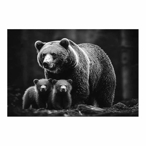 Photos d'œuvres d'art ours DunPei affiche sur toile 80x120cm décoration salon moderne sans cadre