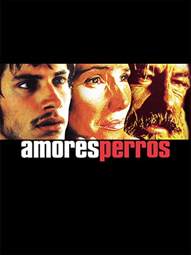  Amores Perros