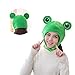 PRETYZOOM - Gorra de peluche para adulto, disfraz de conejo y rana – 1 bonito diseño animado adorable, suave de rana, sombrero accesorios