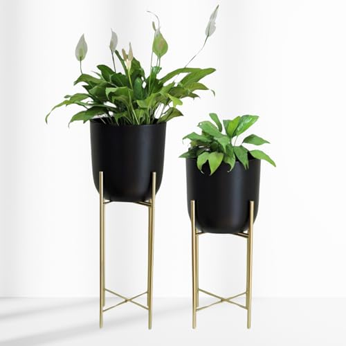Image of Metal Decorative Modern Indoor Planters for Home Decor Black Planter Gold Stand for Living Room Bedroom Balcony Home and Office | Modern Flower Pots | Set of 2
