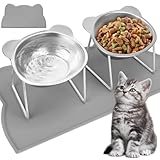 SANWICH Elevated Cat Bowls, Stainless Steel Cat Food Bowls with Placemat, 15° Tilted Raised Pet Food Dishes for Cats, Kitten, Puppies and Small Dogs-2 Pack