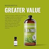 Lab Bulks Essential Oil Tea Tree Essential Oil 16 oz Big Bottle for Diffuser, Face, Hair, Aromatherapy, and Tea Tree Spray (473 ml) - Image 6