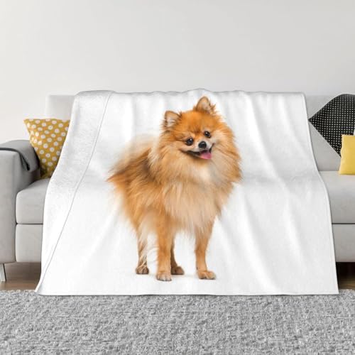 |jA  uPbgtl _炩G 􂦂 \t@uPbg ԗp lGKp