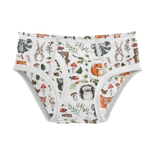 Boys' Exclusive Briefs Toddler Underwear 95% Combed Cotton Boxerbriefs 2T Forest Animal Pattern Woodland 37