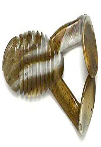 Gambler Cane Toad-Pack of 5 (Green Pumpkin Red Glitter Pearl Swirl, 4-Inch)