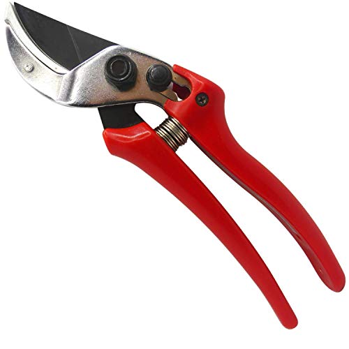 Top 10 Best Heavy Duty Pruning Shear [Experts 2023 Reviews]