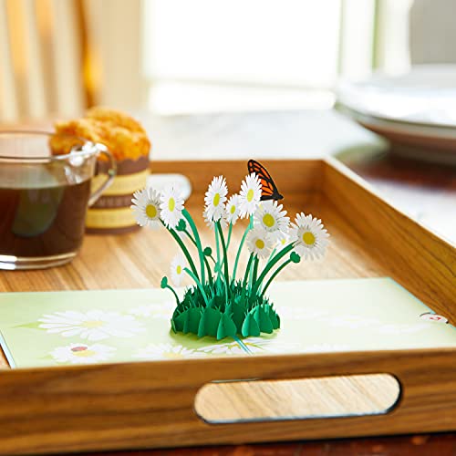 Lovepop Daisy Patch Pop Up Card, 5x7-3D Greeting Card, Pop Up Paper Flowers, Spring Card for Mom, Wife, or Friend, Appreciation Card, Anniversary, Thinking of You