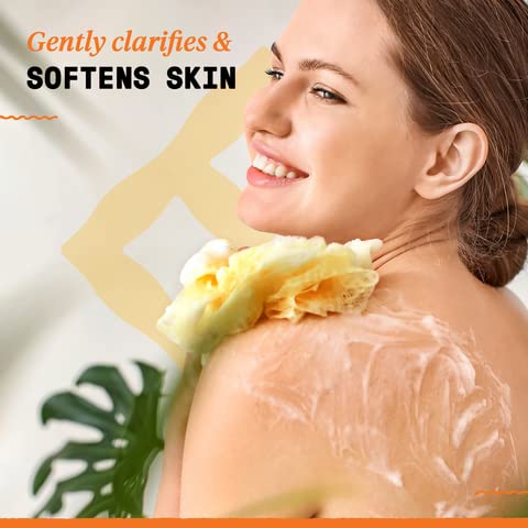 Alaffia Skin Care, Authentic African Black Soap, All In One Liquid Soap, Moisturizing Face Wash, Sensitive Skin Body Wash, Shampoo, Shaving Soap, Shea Butter, Unscented, 32 Fl Oz #TOP5