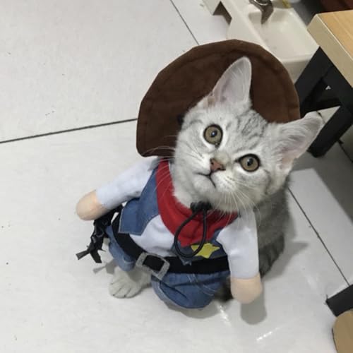 Costume pour chat HMJGDHX vêtement doux de jogging et marche extérieur - 3