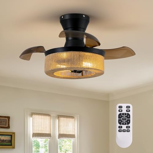 Spacora 28'' Retractable Ceiling Fan with Lights, Flush Mount Small Caged Low Profile Ceiling Fan with Remote 6 Wind Speeds farmhouse Fandelier Invisible Blades for Kids Nursery Room, Bedroom, Kitchen