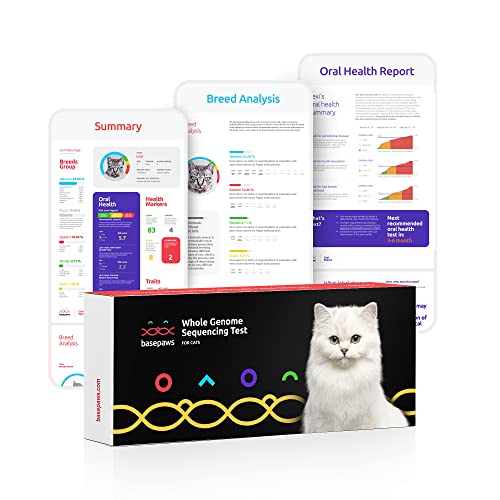 Basepaws Whole Genome Sequencing Test | Your Cat’s Complete Genetic Information | Breed + Health Report & Oral Health Report | Free Lifetime Updates
