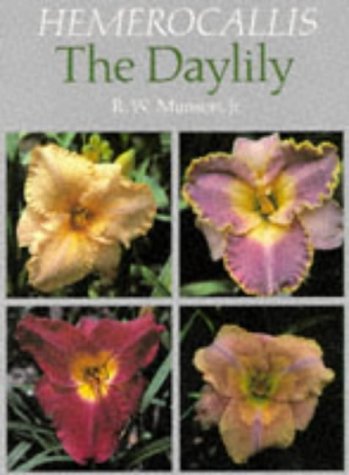 Hemerocallis, the Daylily