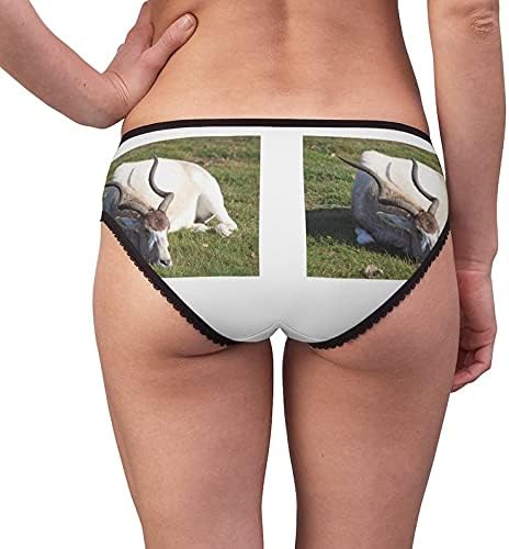 Addax Panties, Addax Underwear, Briefs, Cotton Briefs, Funny Underwear, Panties For Women