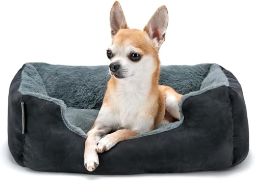 lionto - lionto Lit pour chien avec coussin réversible et base antidérapante, coussin douillet pour animaux avec entrée basse pour chiens et chats de tout âge, 50x37 cm, noir/gris (avec nom imprimé)