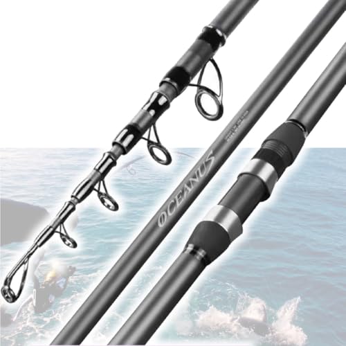 Canna da Pesca Telescopica Leggera 3m OISE ART STORE