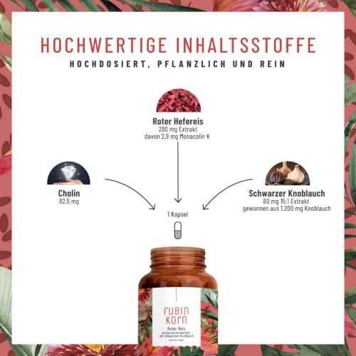 NATURTREU® Roter Reis Komplex abgerundet mit schwarzem Knoblauch Extrakt - 2,9 mg Monacolin K pro Tagesdosis - mit Cholin für normale Leberfunktion - Fermentierter Roter Reis - 120 Kapseln