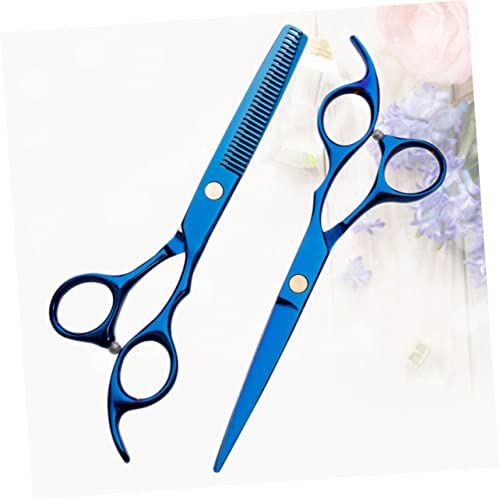 Ciseaux de coupe de cheveux Healvian pour salon et usage domestique