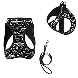 Groamaup Dinosaur Skeleton Reflective Dog Harness with Leash, Black and White Soft Vest Harness for Small Medium Large Dog Puppy Pets (Small Size)