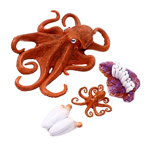 HAPINARY 1set Mini Ocean Creature Speelgoed Educatieve Dieren Simulatie Voor Jongen Meisje Voor Creatieve Activiteiten Decoratie Versterk Kennis Van Zeeleven Natuurlijke Cycles