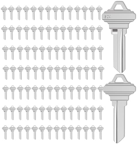 WAH LIN PARTS SC4 Key Blanks, Pacote com 100 Chaves em Branco (6S...