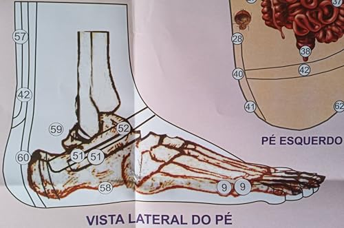 MAPA/POSTER DAS ÁREAS REFLEXAS DOS PÉS - REFLEXOLOGIA - DIMENSÕES: LARGURA 117 CM X ALTURA 89 CM.