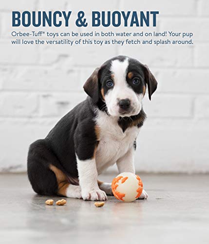 Planet Dog Orbee-Tuff Planet Ball Orange Glow-In-The-Dark Treat-Dispensing Dog Toy, Small #TOP6