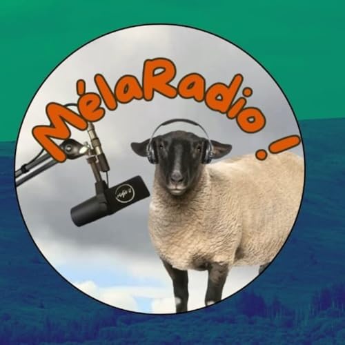 Couverture de M&eacute;laRadio