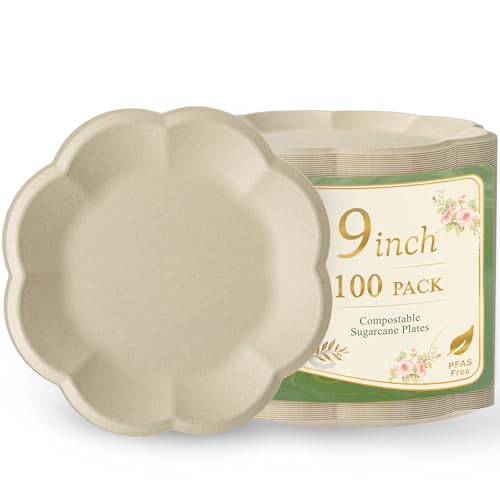 WELLIFE Dessert Plates 9 inch Paper Plates Disposable 100 Pack