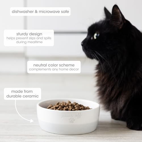 Pearhead Tigela de cerâmica para gatos Paws Off, tigela pequena para comida e água para gatos, prato