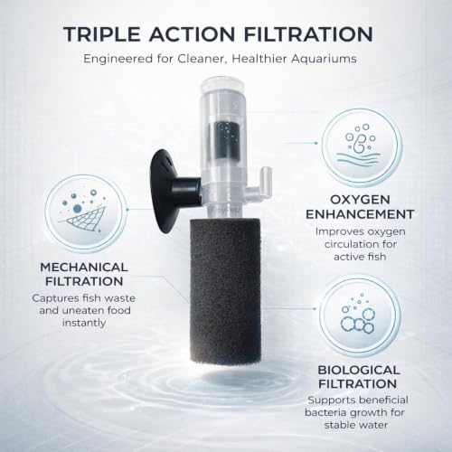 Image of LY-2832 Nano Sponge Aquarium Filter with Airstone for Small Fish Tank & Fish Bowl | Betta, Guppy, Shrimp & Fry Safe Bio Sponge Filter | Quiet Bubble Nano Tank Filter | Air Pump Not Included