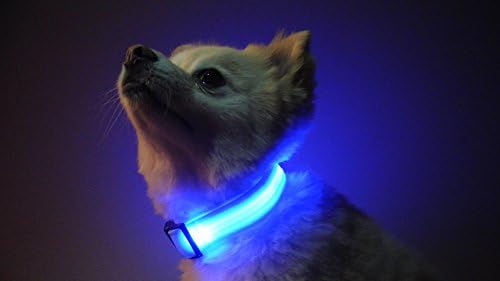 The Pet Hut USB Rechargeable LED Dog Safety Glow Collar - 4 Colors And 3 Sizes! (Blue Large) HOLIDAYS PROMO ON NOW 50% OFF FINAL SALE PRICE