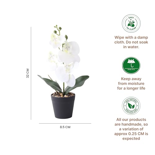 Image of Habere India-All the Cultures Fabricating India White Orchid Artificial Plants with Pot for Home Decor | Small Fake Flower Plants for Living Room & Indoor Decoration (Design02: L8.5 x W8.5 x H32 cm)