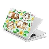 Watercolor Guinea Pigs & Daisies Laptop Hard Shell Case Compatible with MacBook Pro 13 Inch Case A1706 A1708 A1989 A2159 ,Plastic Hard Shell Case Laptop Cover