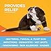 Paw Science Antibacterial & Antifungal Medicated Wipes for Dogs and Cats – 100 Count - Chlorhexidine Wipes with Ketoconazole for The Treatment of Rashes, Skin Infections, Itchy Paws, and Pet Acne