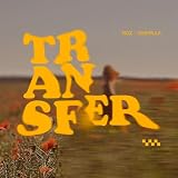 transferwise contact  TRANSFER