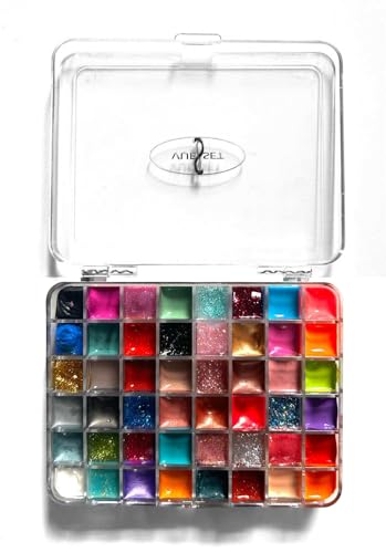 Vueset Jazz | Depotting Case | Refillable Makeup Palette | 48 Sections | Transparent 4.25 x 3.25 x 0.75 inches