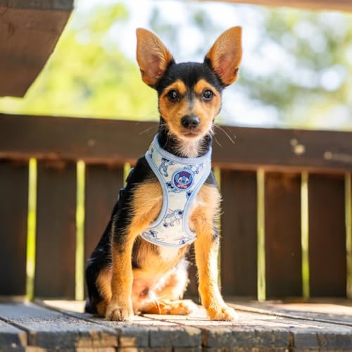 Stitch Hundegeschirr, bequem und verstellbar, ideal für Spaziergänge und Training, Robustes und atmungsaktives Material (Light Blue, XS-S)