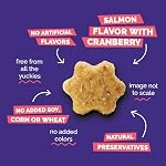 Fruitables Cat Treats, Healthy Treats For Cats, Low Calorie and Packed with Protein, Crunchy Biscuits, No Wheat, Corn or Soy, Made with Real Salmon and Cranberry, 2.5oz - Image 6
