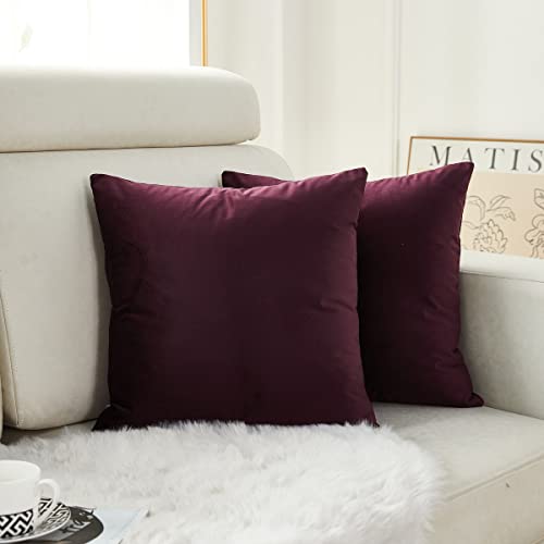 Sunday Praise Set of 2 Soft Thick Velvet Decorative Throw Pillow Covers 20 x 20 Inches for Couch Sofa Bed Chair,Dark Purple