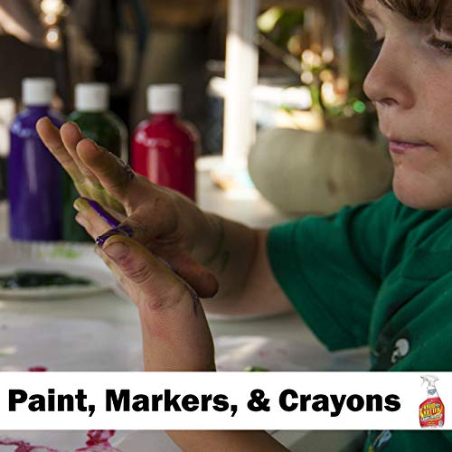 Krud Kutter Cleaner Sprays, 32Oz | 2 Pack Bundle With 1 Daley Mint Towel - House Cleaning Degreaser And Stain Remover For Kitchen, Bath, Home #TOP4